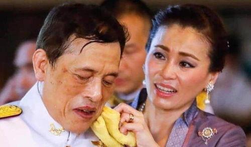 安德鲁最新爆料西拉米,揭秘西拉米背后的惊人真相