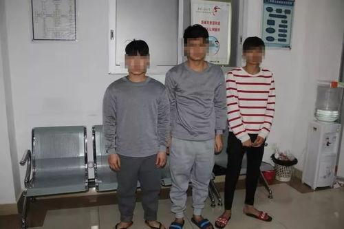 宁波合租爆料事件最新,揭秘邻里纠纷背后的真相与反思